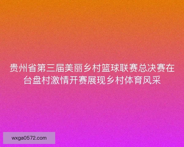 贵州省第三届美丽乡村篮球联赛总决赛在台盘村激情开赛展现乡村体育风采